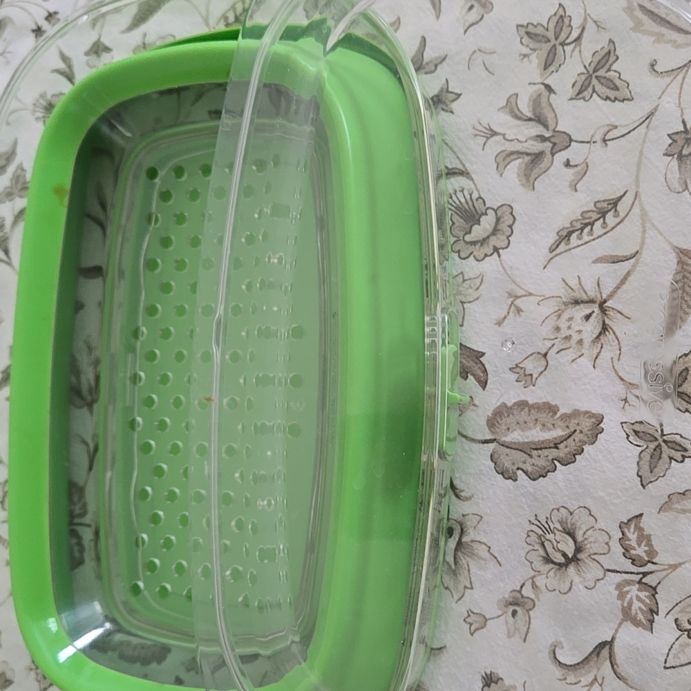 Progressive Green Plastic Vegtable Storage Container - Picture 3 of 8